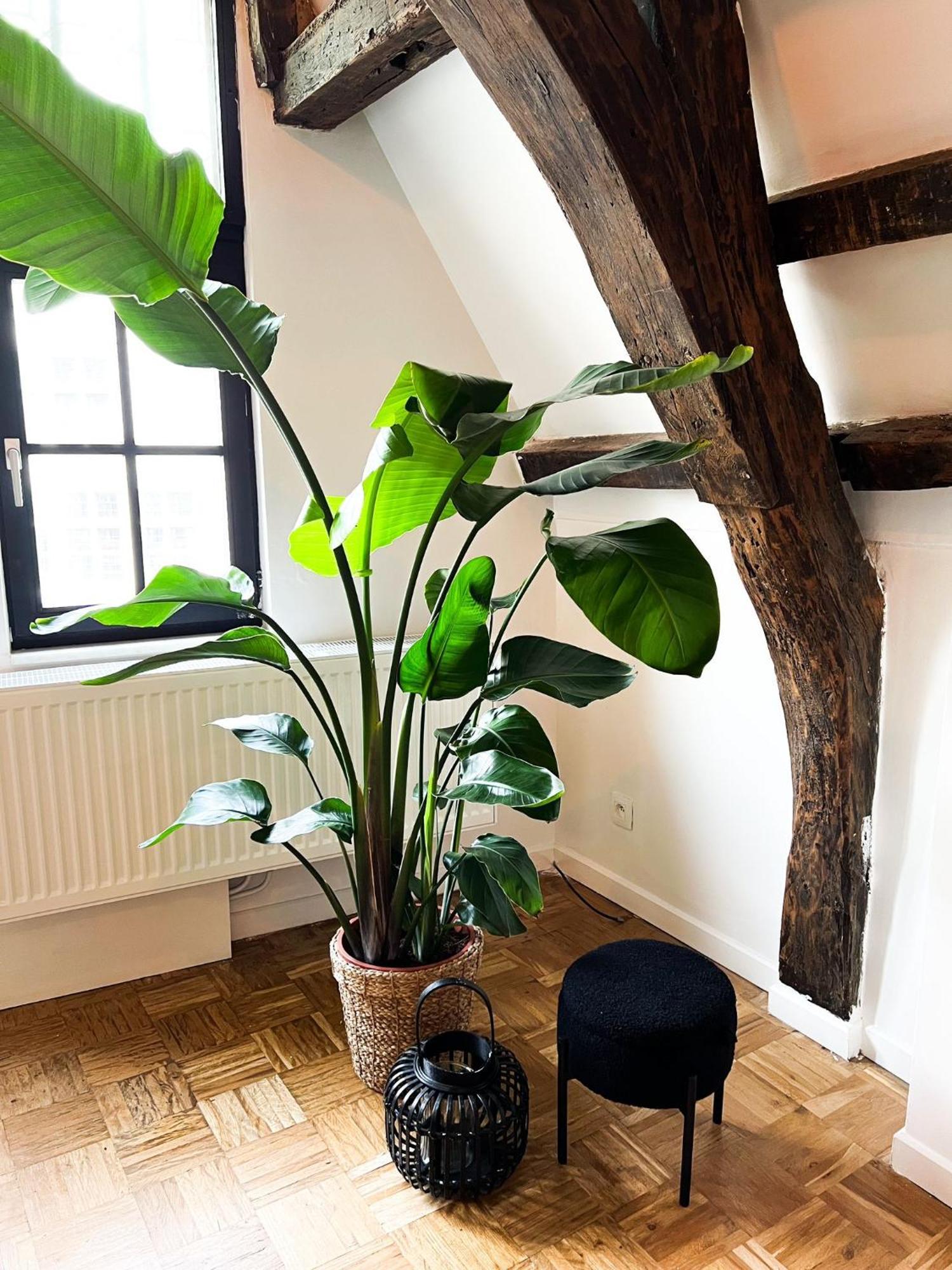 Nammos Home'S Anvers Extérieur photo